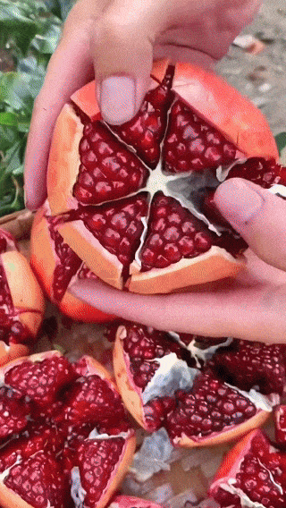 Sirenevyi Pomegranate Live Plant - Exotic Fruit-Bearing Plant, Hardy Pomegranate Tree, Tropical Garden