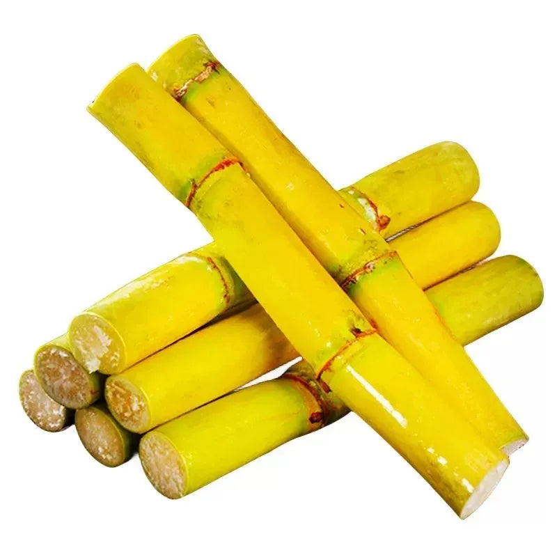🌱 Grow Your Own Sugarcane – High Germination Seeds ✨ for Easy Home Gardens 🌿!