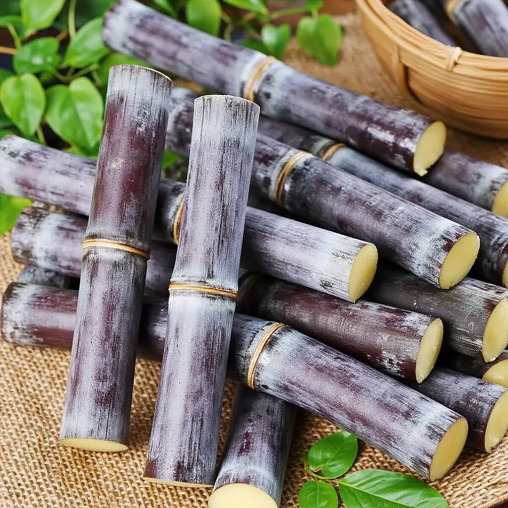 🌱 Grow Your Own Sugarcane – High Germination Seeds ✨ for Easy Home Gardens 🌿!
