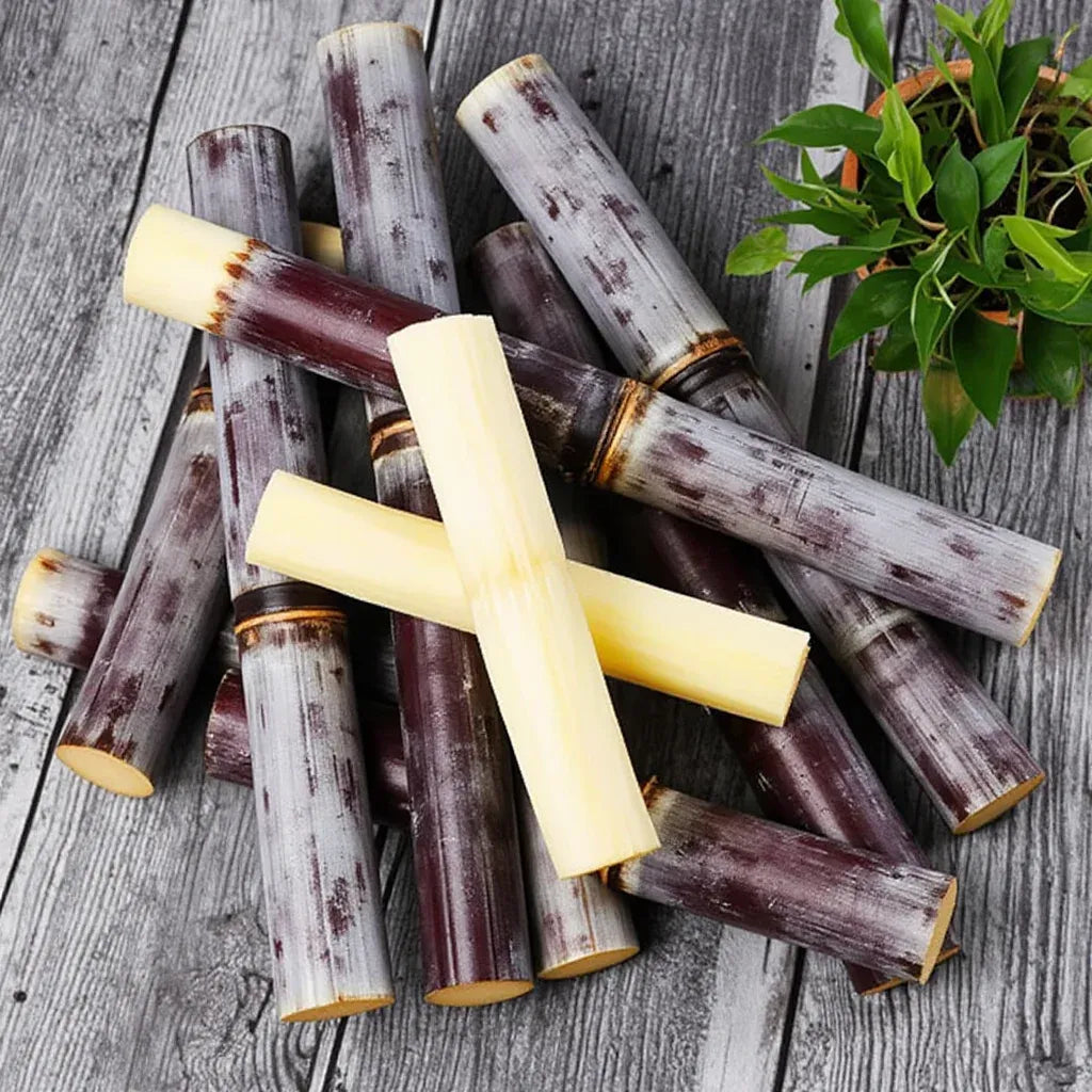 🌱 Grow Your Own Sugarcane – High Germination Seeds ✨ for Easy Home Gardens 🌿!