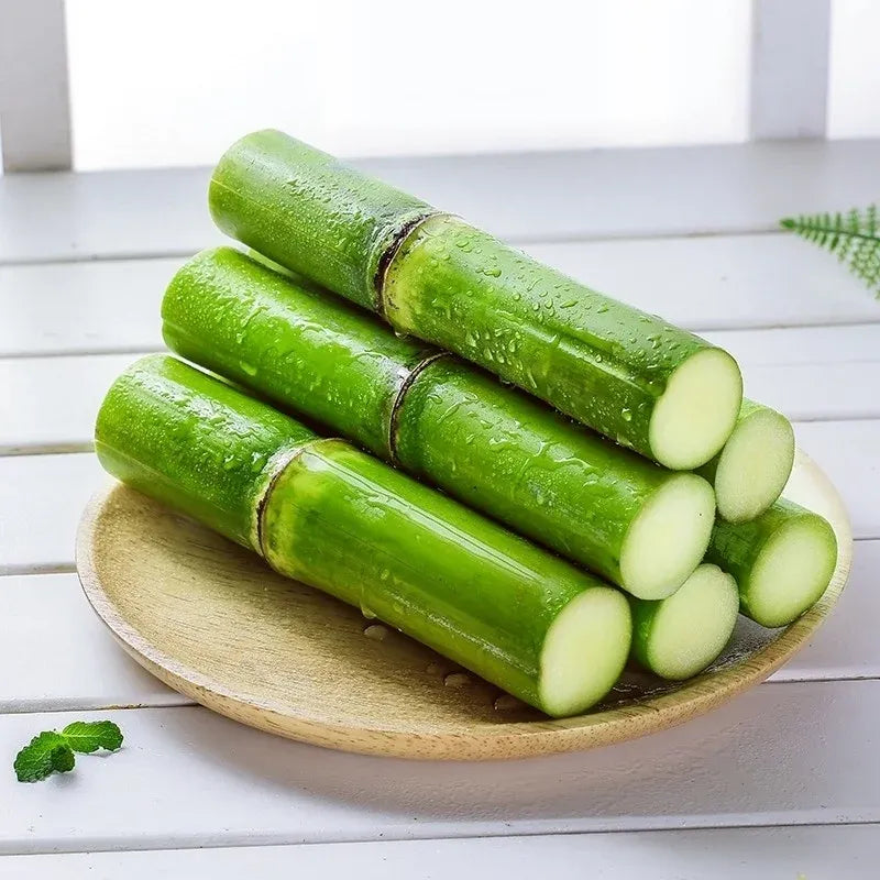🌱 Grow Your Own Sugarcane – High Germination Seeds ✨ for Easy Home Gardens 🌿!