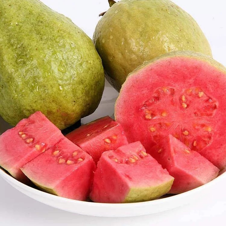 🔥Hot Sale💚 Organic Guava Seeds🌱 Easy Grow