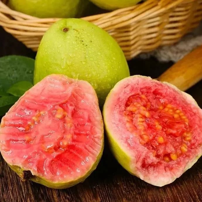 🔥Hot Sale💚 Organic Guava Seeds🌱 Easy Grow