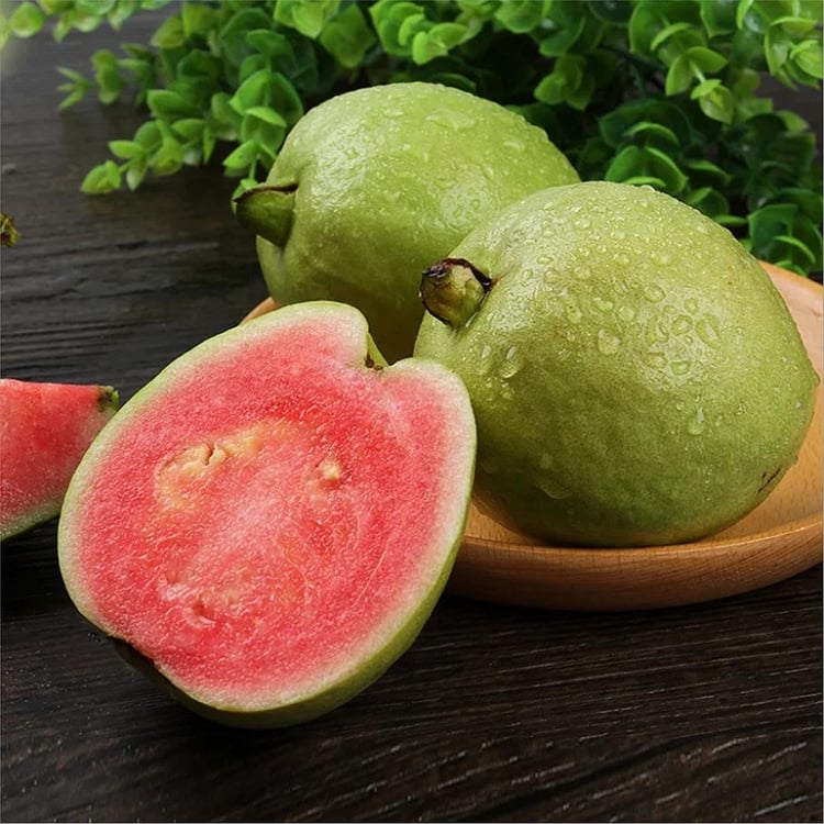 🔥Hot Sale💚 Organic Guava Seeds🌱 Easy Grow
